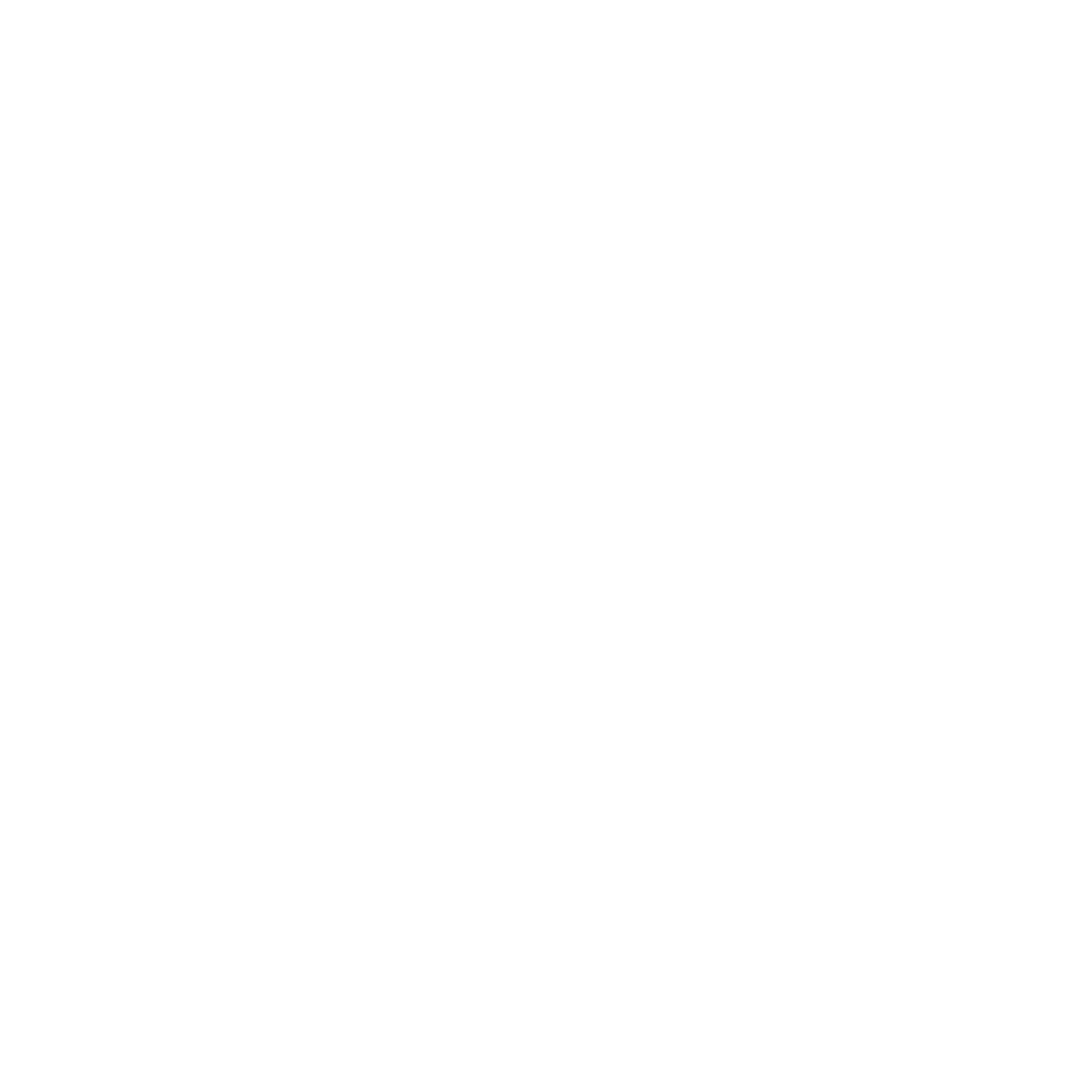 logo-white-vr2